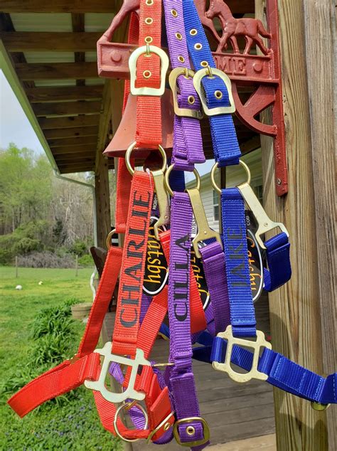 personalized horse halters with names.